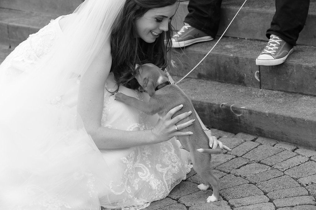 Bride meets a dog on her walk about