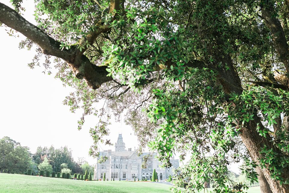 Adare Manor view from under a tree